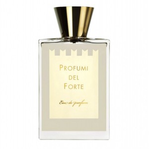 Vetiver Moderno 