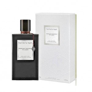 Moonlight Patchouli