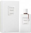 Santal Blanc